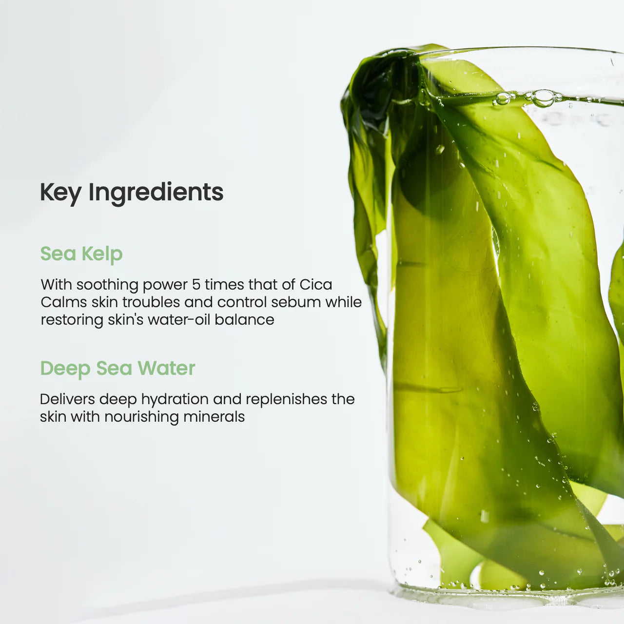 BIODANCE  Refreshing Sea Kelp Real Deep Mask - Maschera lenitiva e purificante