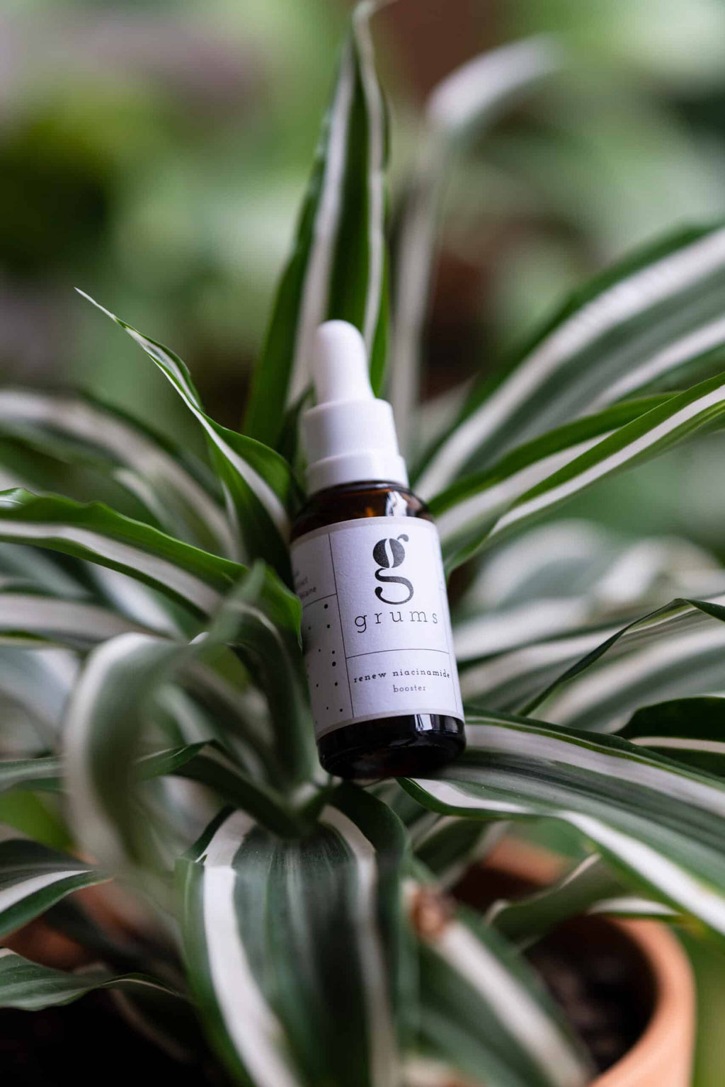 GRUMS Renew Niacinamide Booster 30 ml – Antioxidant Facial Serum